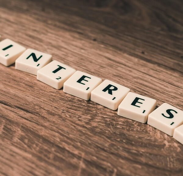 Website Growth SEO 40808000 for Online Success