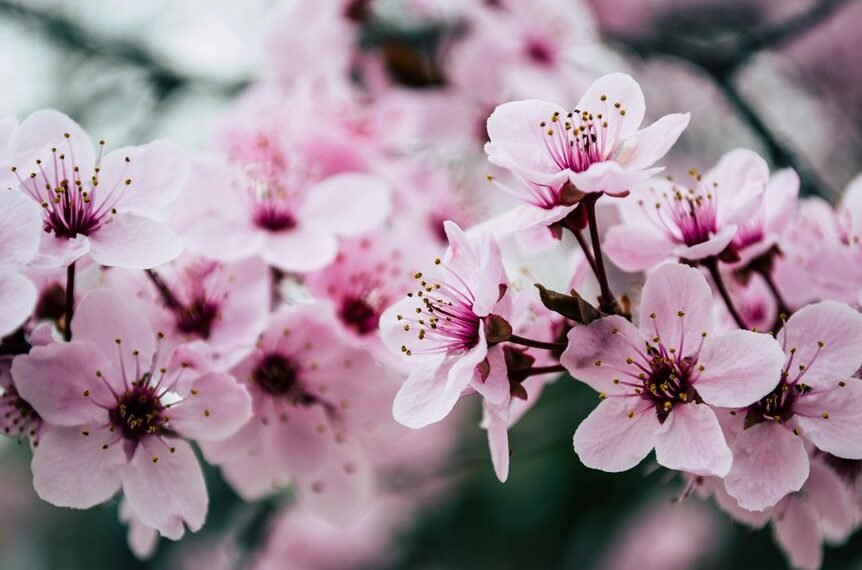 website growth seo campaign